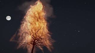 Burning Tree — Final Comp