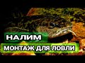 ОСНАСТКА ДЛЯ ЛОВЛИ НАЛИМА ОСЕНЬЮ | РАБОЧАЯ ДОНКА ( ЗАКИДУШКА ) НА НАЛИМА