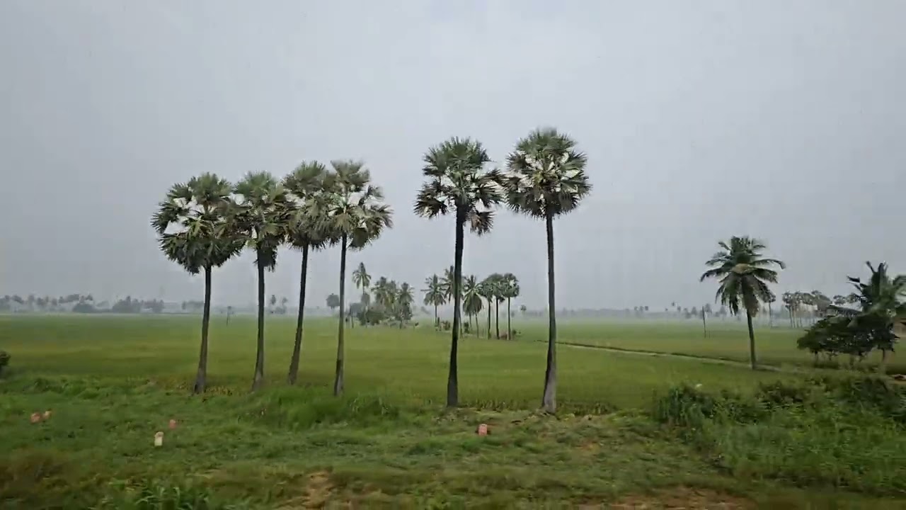 Chagallu, Pasivedala, Green Fields, West Godavari 