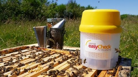 Varroa Mite Alcohol Test