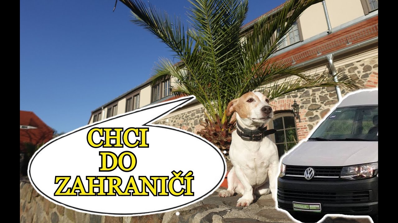 Do zahraničí se psem | PAS PRO PSA | Dovolená v Polsku a Německu