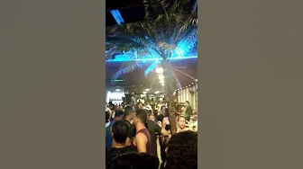 100% Você ( Chiclete Com Banana)