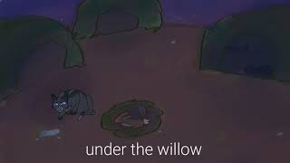 Willow MAP part 1