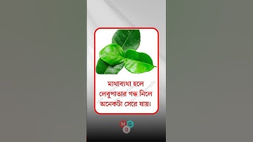 general knowledge || quiz | spinal cord। part-797