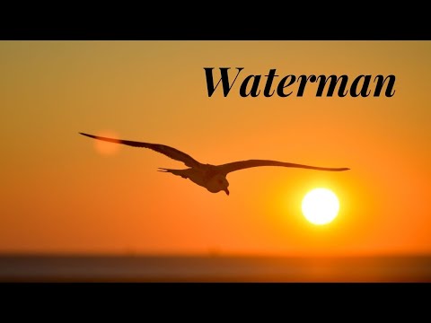 Video: Watter Bekende Persoon Is Waterman?