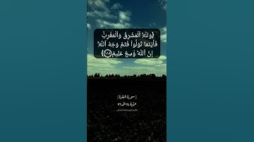 سورة البقرة الآية ١١٤ الى ١١٦ بصوت الشيخ #ماهر_المعيقلي
