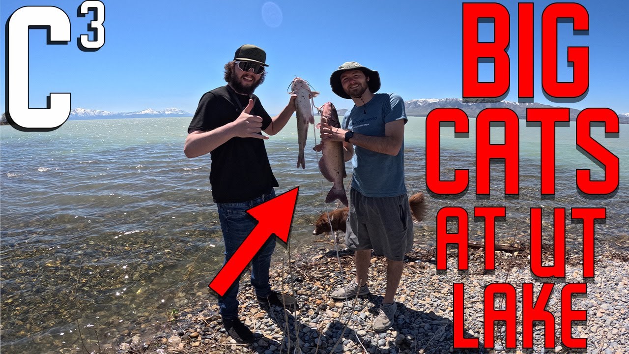 UTAH LAKE CATFISH CATCH AND COOK! (FISH FRY) YouTube