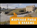 Жареная рыба сазан в Чиназе , Яллама, Узбекистан