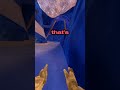 use dis audio #gorillatag #gtag #vr #amnewbutnottheleast #funny #butifyoucloseyoureyes