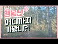 앵봉산 두번째 이야기~🤗 #산책 #여행 #힐링 #공주 #공주여행 #동네한바퀴