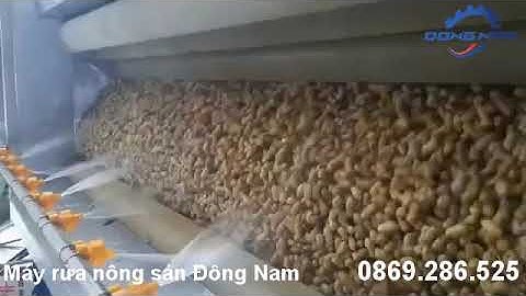 Máy rửa nông sản Đông Nam rửa sạch đất cát năng suất lớn