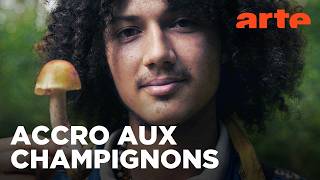 Les champignons ont la cote | Twist | ARTE