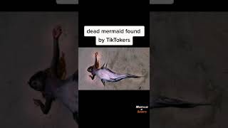 Proof mermaids exists #shorts #facts #proof #mermaids #mermaidsarereal