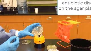 Lab 14 - Antibiotics