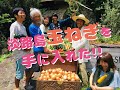 勇者は淡路島の玉ねぎを手に入れた！