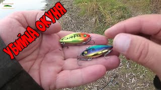 ONE OF THE BEST PERCH BAITS ! BANSHEE's RATTLIN in ACTION !