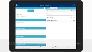 ExpandIT Mobile Service - Day timesheet