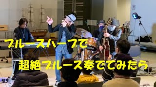 【ブルースハープ】超かっこいい大竹英二ブルース奏でてみた