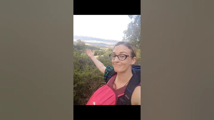 Camino D7: Estella past Los Arcos - Big Mistake!#c...