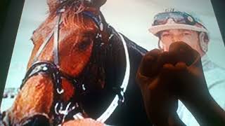 Horacio the handsnake - Christopher Vance the racehorse