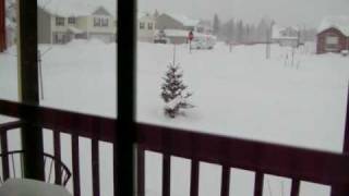 Snomageddon December 21  2008 Coeur D'alene