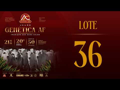 LOTE 36 ARFS  166