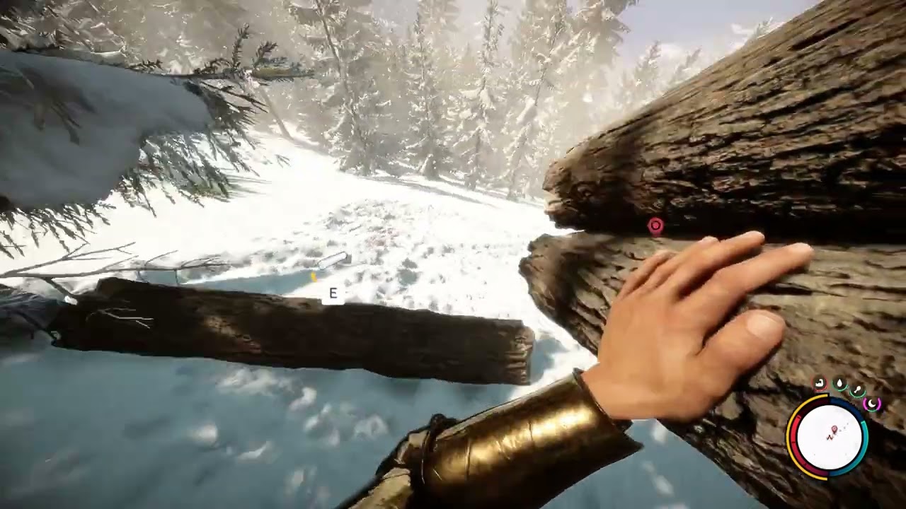 Sons of the Forest Bugs