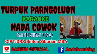 Turpuk Parngoluon||Nada cowok||Lamtama trio||Cipt.Drs.Binton Siburian MBA Karaoke HD