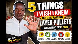 5 Things I Wish I Knew Before Raising Layer Pullets | Lessons From My First 9 Weeks