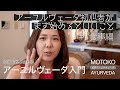 【アーユルヴェーダ入門】「初心者がまず始めるといい3つのこと」第1弾 食事編
