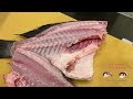 マダラタルミの下ろし方・まだらたるみ・ジョ兄さんの魚・津本式究極の血抜きからの三枚おろしと下処理・元寿司学校講師が教える・築地すしOmakase