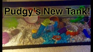 Pudgy's New Tank