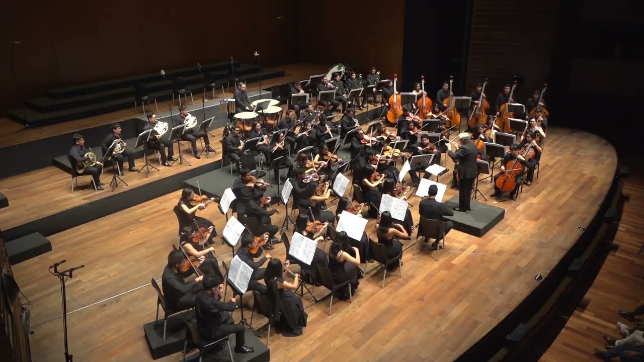 Beethoven, The great symphonies - OSNJB / P. Sabat