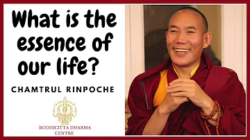 What is the essence of our life?