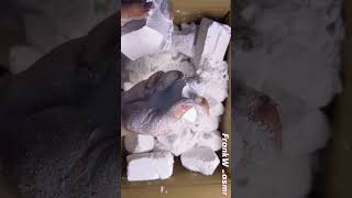 Crushing A Whole Box Of Chalk | Crisp Rustling Sounds | Ultra Satisfying | ASMR