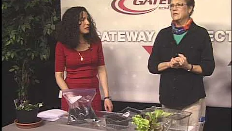 Gateway Connections- April 2016 Earth Day
