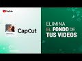 Cómo Quitar el Fondo de un Video en CapCut Web | Fácil y Rápido