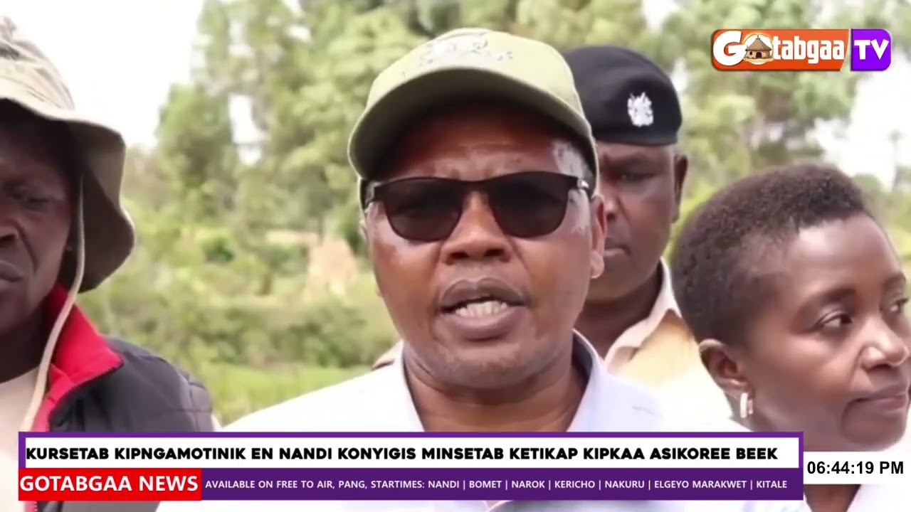 Nandi advocates urge locals to plant indigenous trees along water catchments