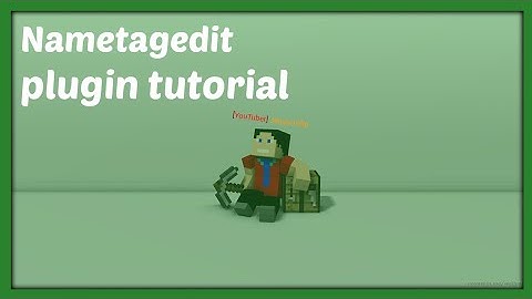 NAMETAGEDIT PLUGIN || Tutorial [Nederlands/Dutch]