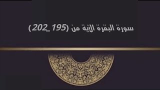 سورة #البقرة #اليوم 2 حفظ من أية (195-202) #القرآن_الكريم #حفظ_القرآن_الكريم #القارئ #إسلام صبحي #2.