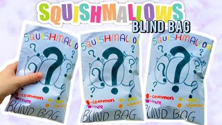 SQUISHMALLOW Blind Bag!