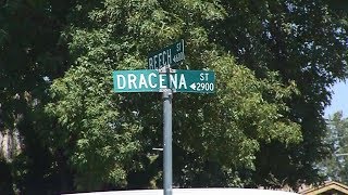 Chop shop investigation leads to shooting of two dogs