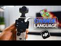 How To Change Language On DJI Osmo Pocket 3/2/1