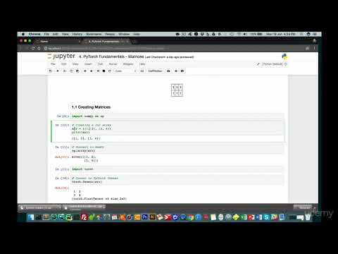 Practical Deep Learning with PyTorch : Matrix Basics