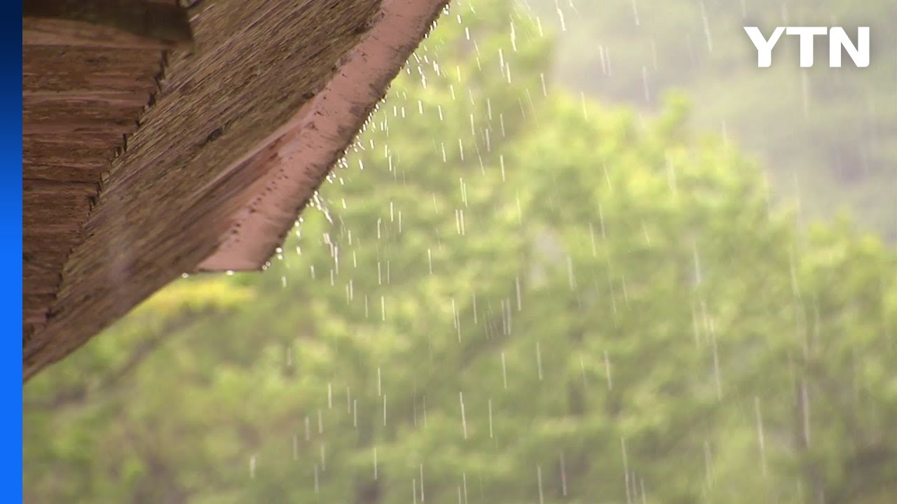 [날씨] 비 내리며 황사 사라져...남해안·제주 많은 비 / YTN