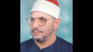 سورة الزلزلة | الشحات محمد أنور