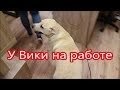 К Вике на работу