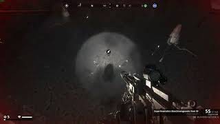 Generation Zero - what is it tick or gnome - Bug