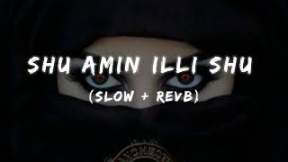 Shu Amin illi shu arbic song slow + revb!!!