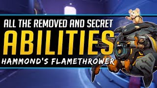 Overwatch History - Removed and Secret unused Abilities Wealth